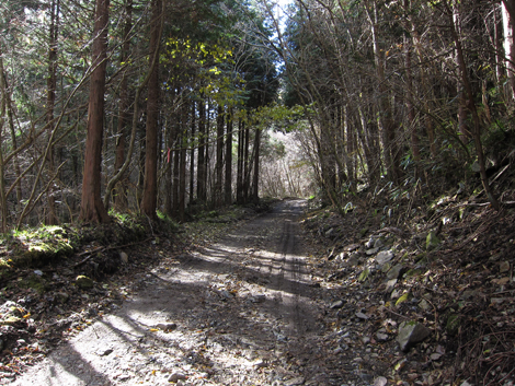 20191129hike (33)